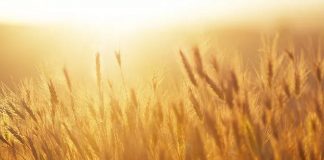 Énergies d’Août 2018